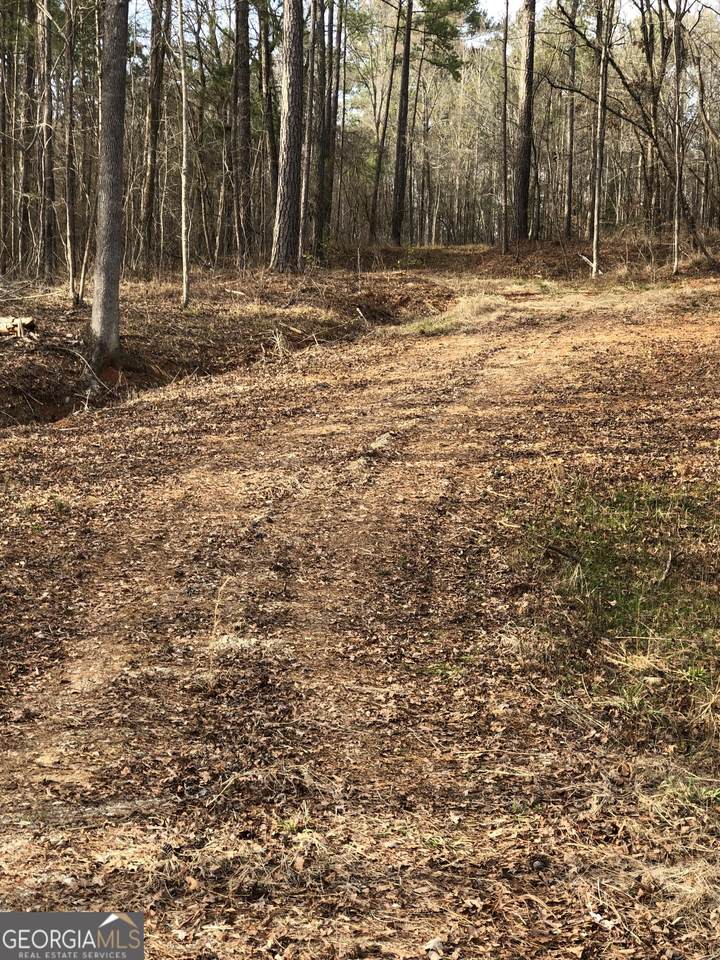 438 Lake Laurel Road - Photo 1