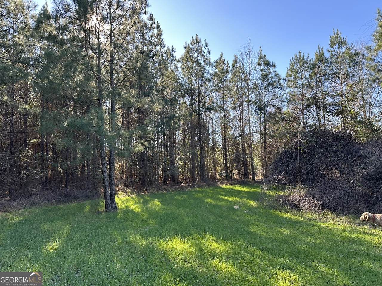 012 Mt Zion Road - Photo 1