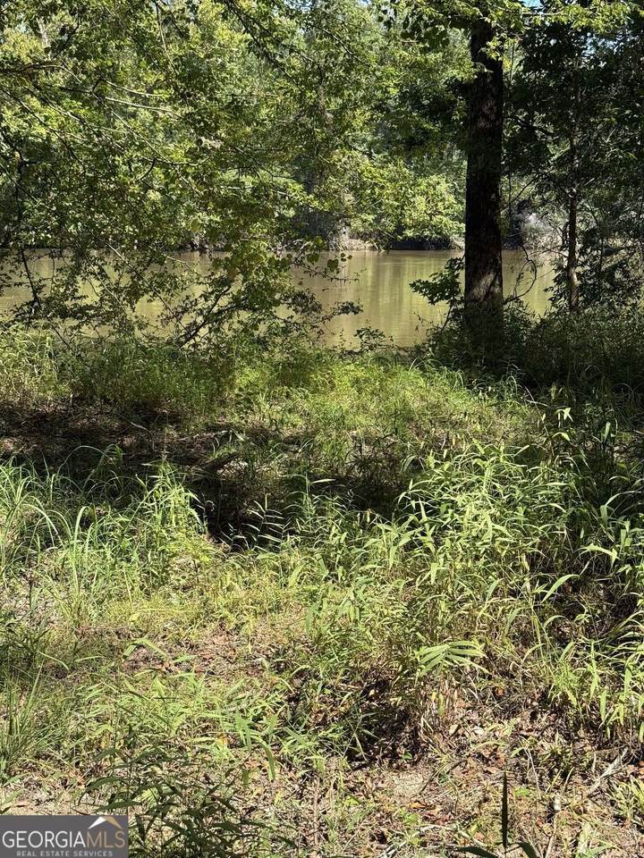 0 Charles Lane - Photo 1