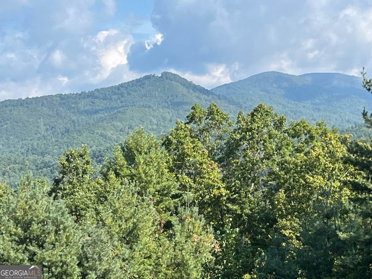 0 Briarwood Lane - Photo 1