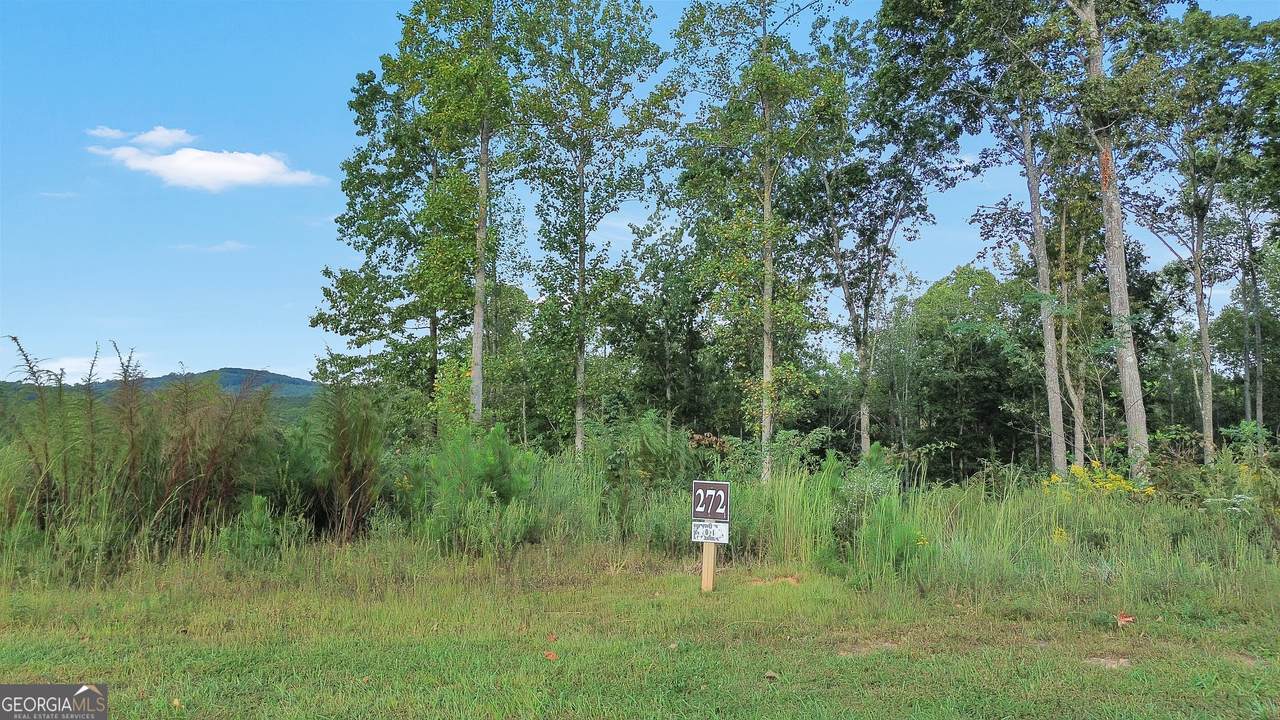 LT 272 Highgrove Drive - Photo 1