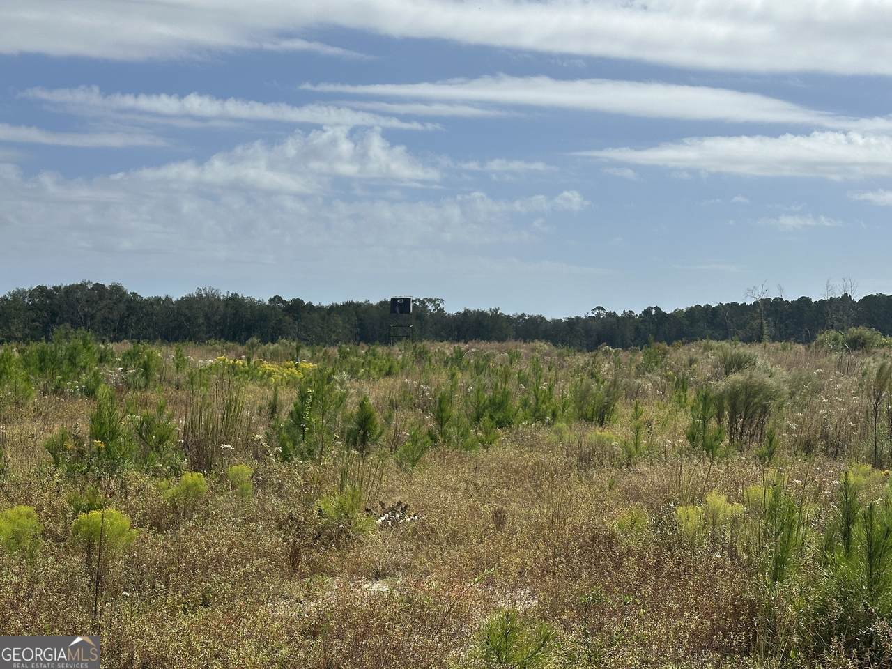 0 Runs Branch Road - Photo 1