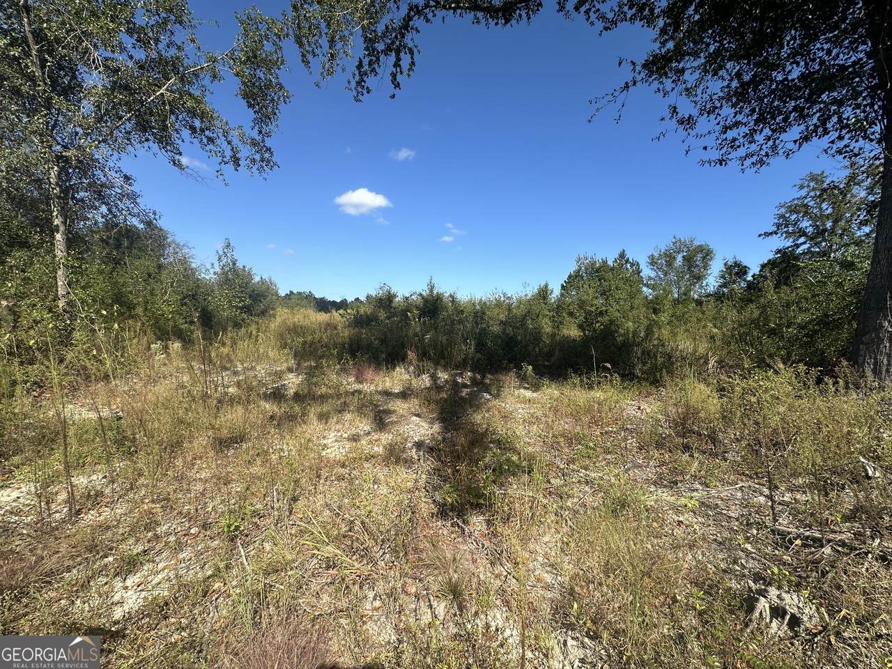 0 Waynesboro Hwy - Photo 1