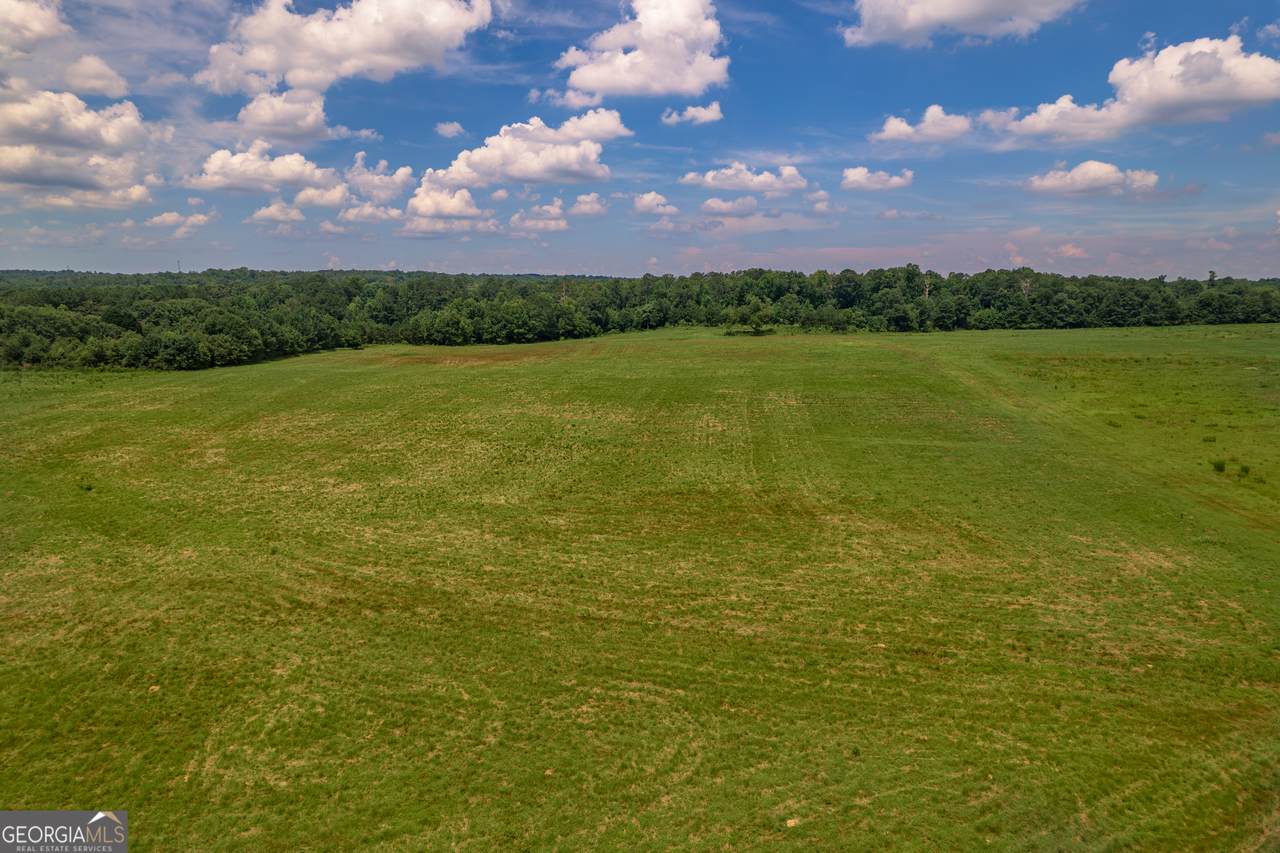 265 Hamil Road - Photo 1