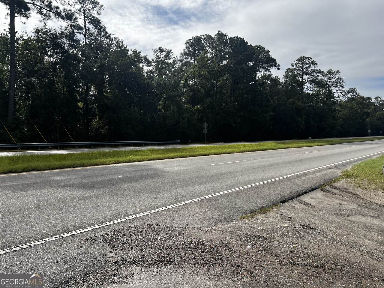 4128 Darien Highway - Photo 1