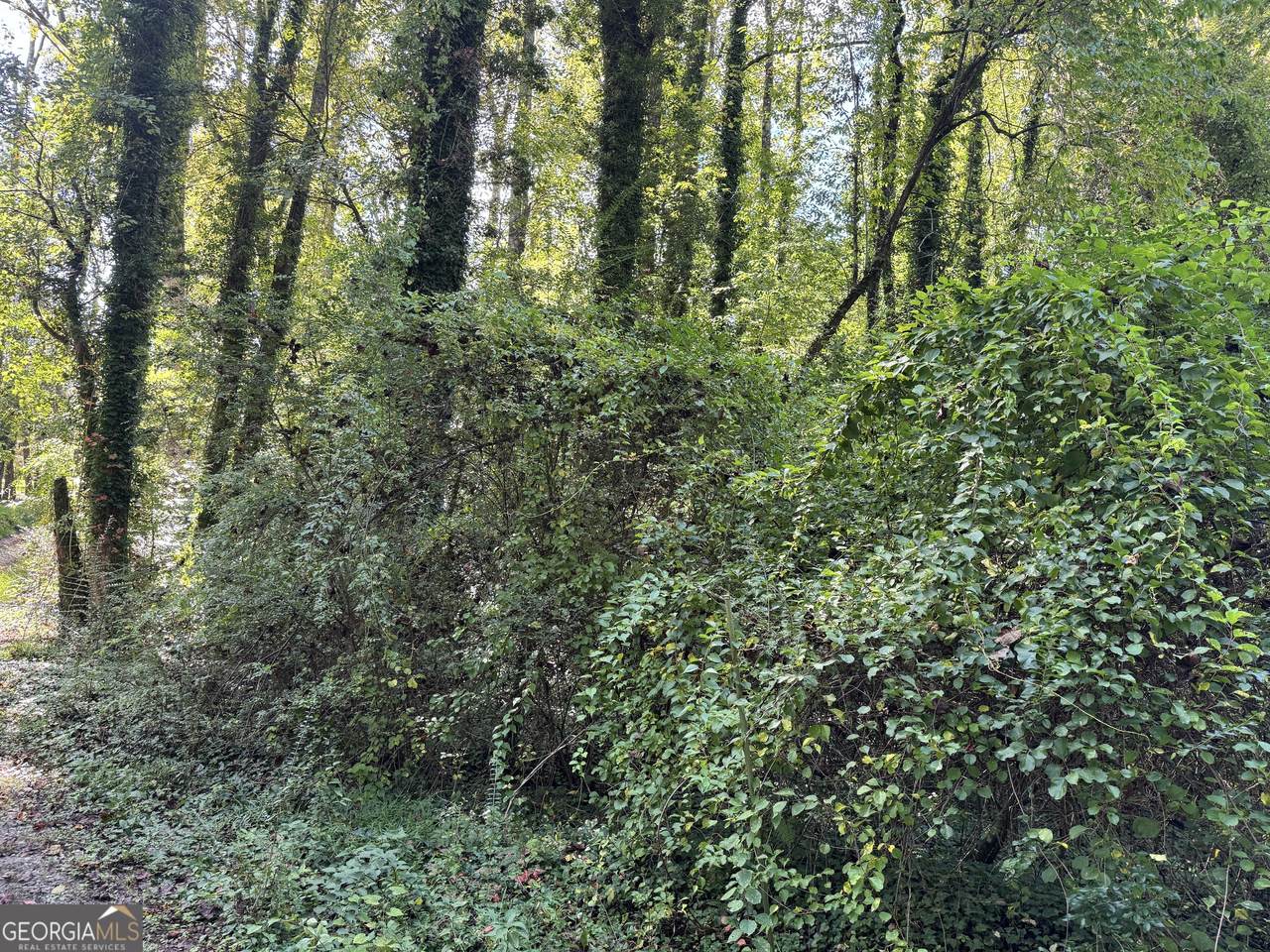 0 Post Oak - Photo 1