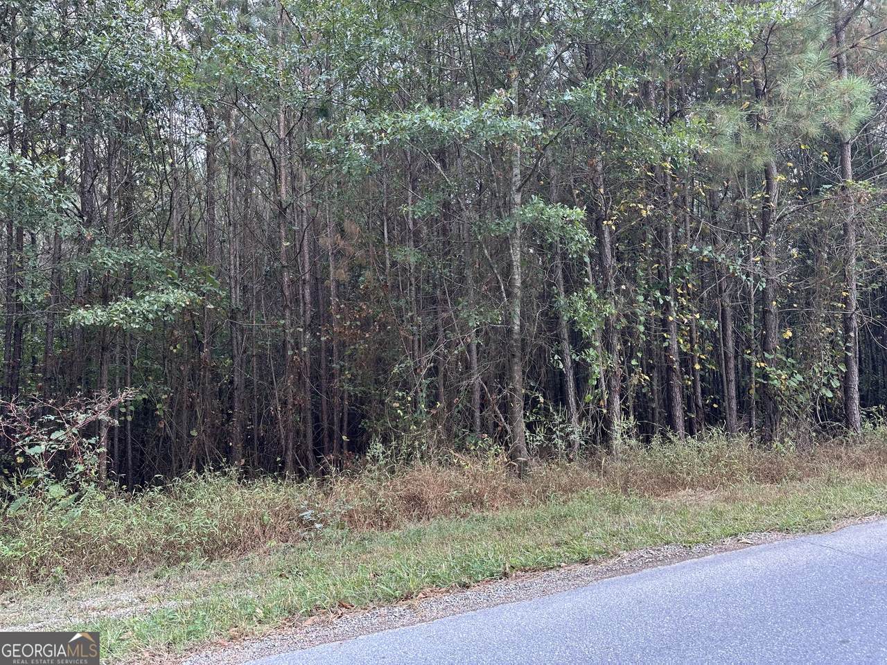 0 Hwy 101 And Dean Road - Photo 1