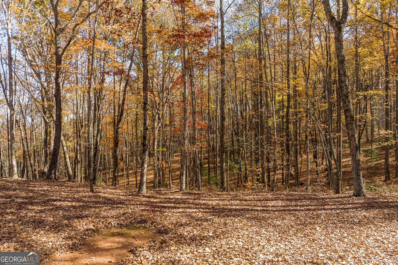 LT 17R Tanager Trail - Photo 1