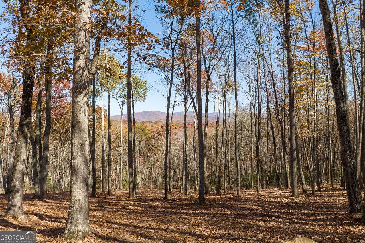 19R Settlement Trail - Photo 1