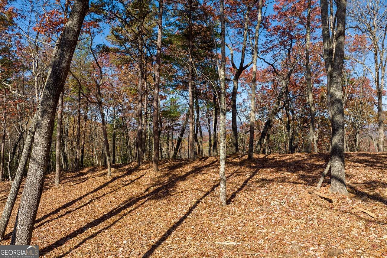 LOT 41 Preserve Trail - Photo 1
