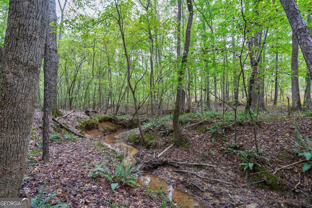 0 Lower Wirebridge Road - Photo 1