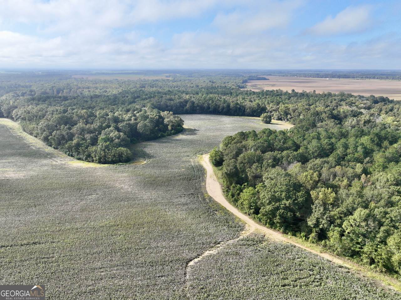 136 Pope Road - Photo 1