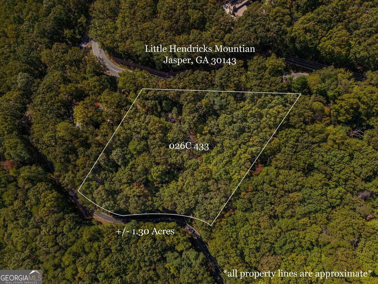 0 Little Hendricks Mountain Road - Photo 1