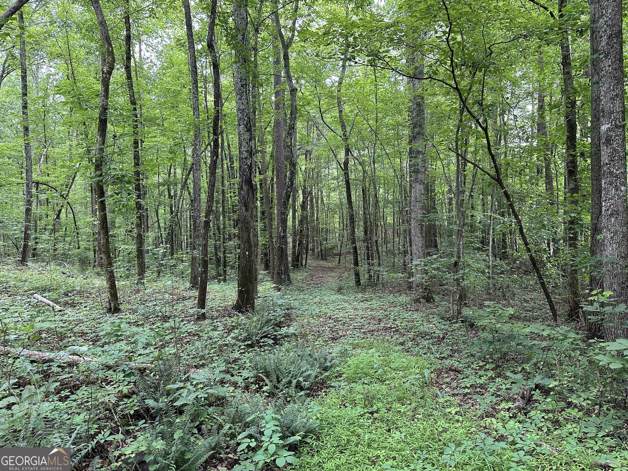 0 Brewsterfield Road - Photo 1