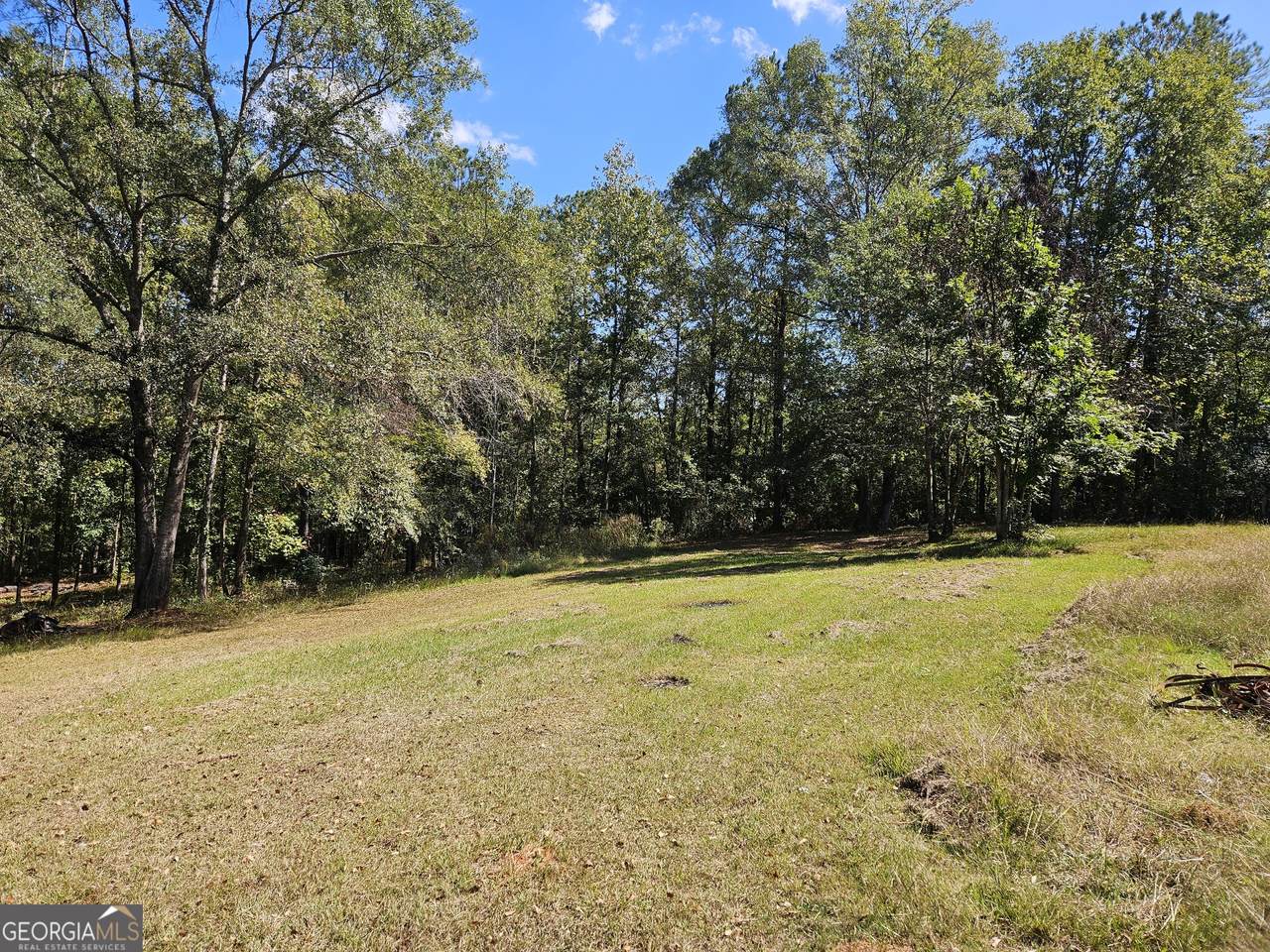 2070 County Road 187 - Photo 1