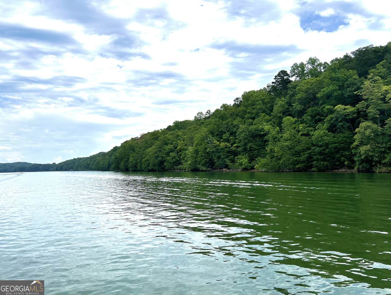 TRACT 3 Winterberry Court - Photo 1