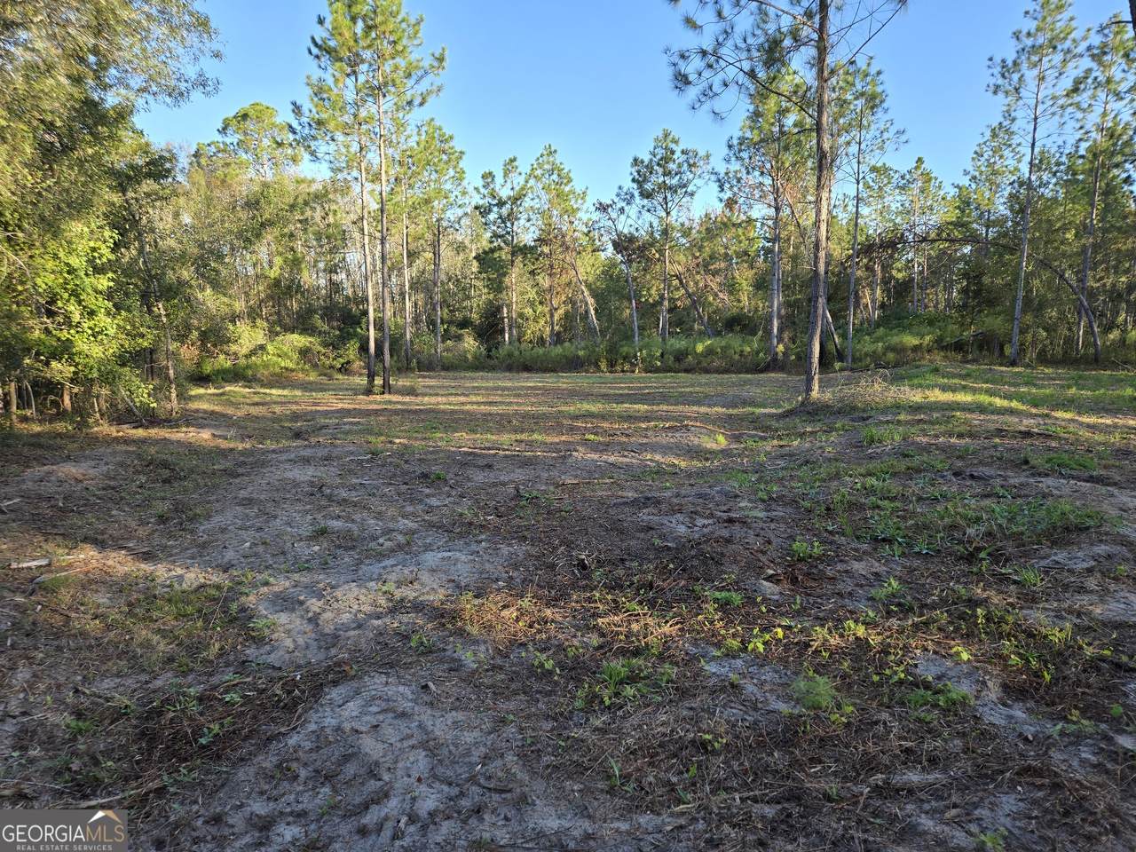 600 Alton Lawson Road - Photo 1