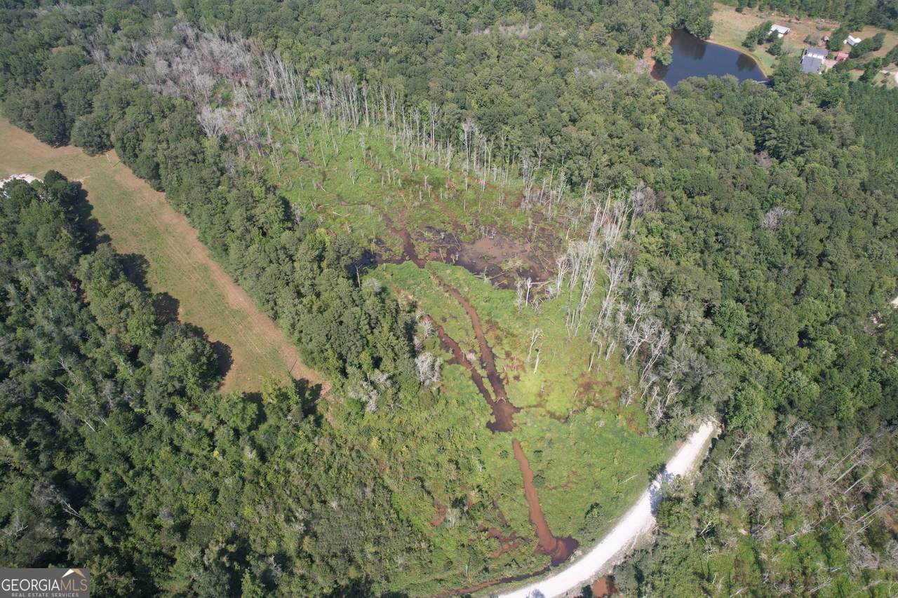 TRACT D Hunter Road - Photo 1