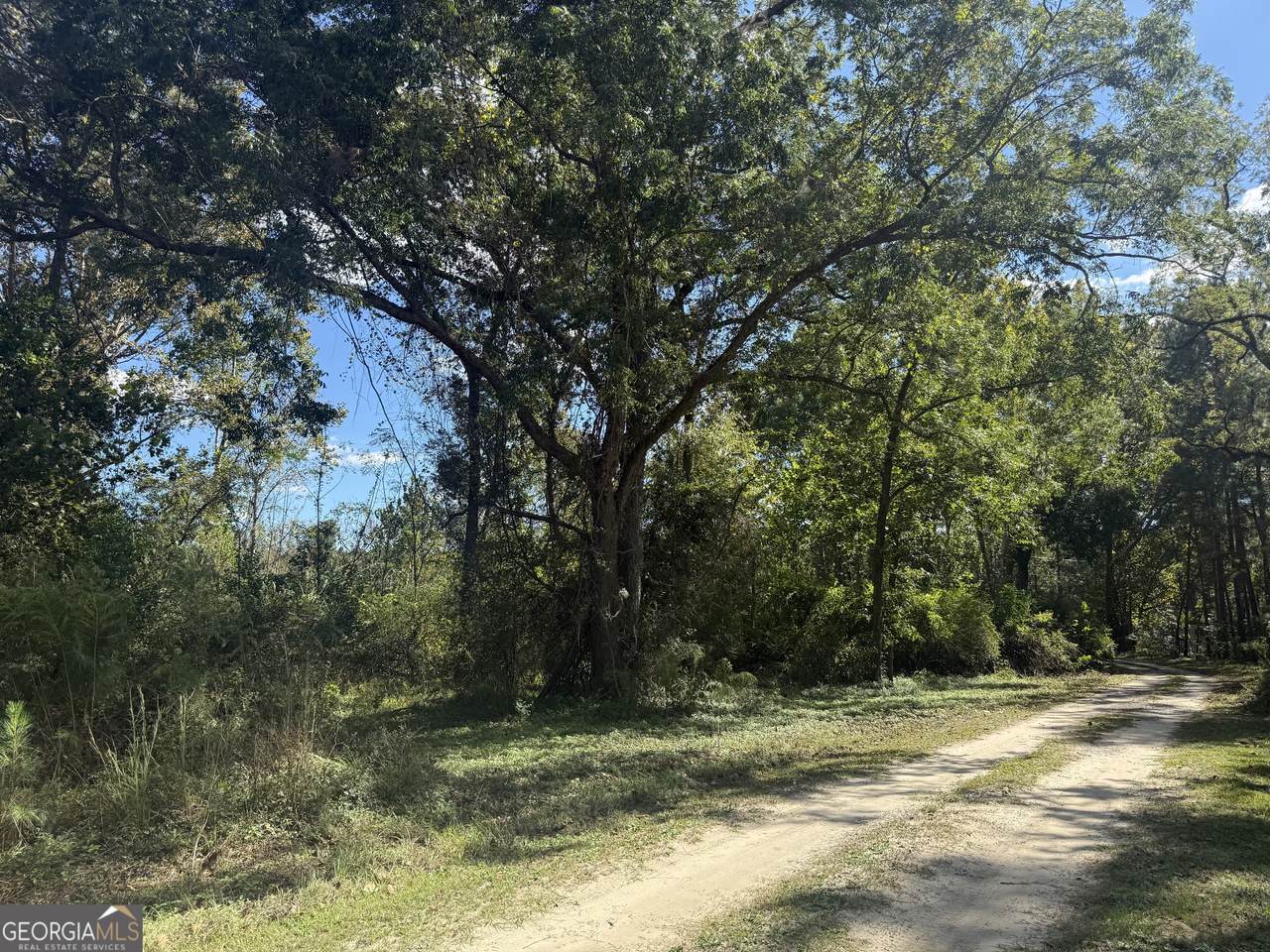 0 Old Leefield Road - Photo 1