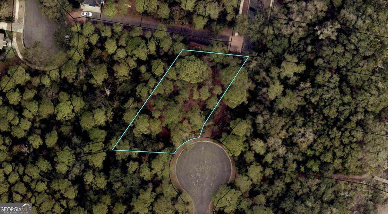 0 Overlook Lane - Photo 1