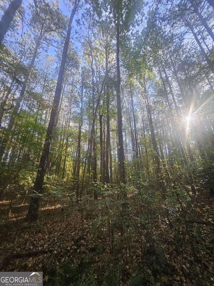 4861 Moon Road - Photo 1