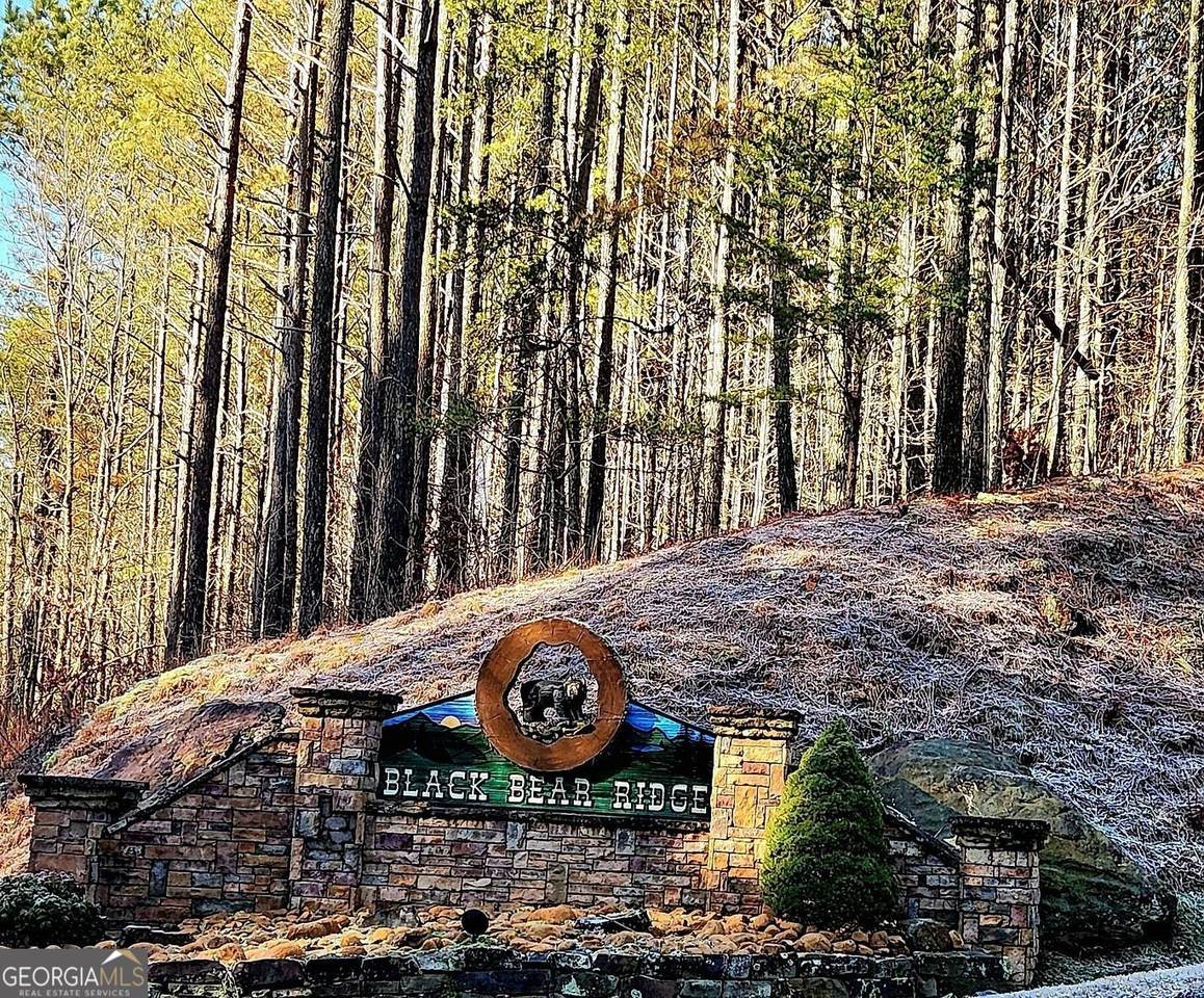 37 Black Bear Ridge Road - Photo 1