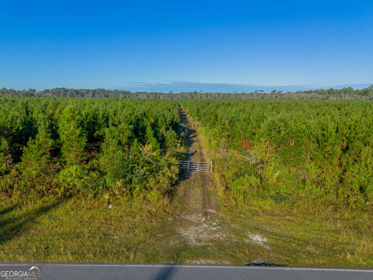 0 Anita South Street - Photo 1