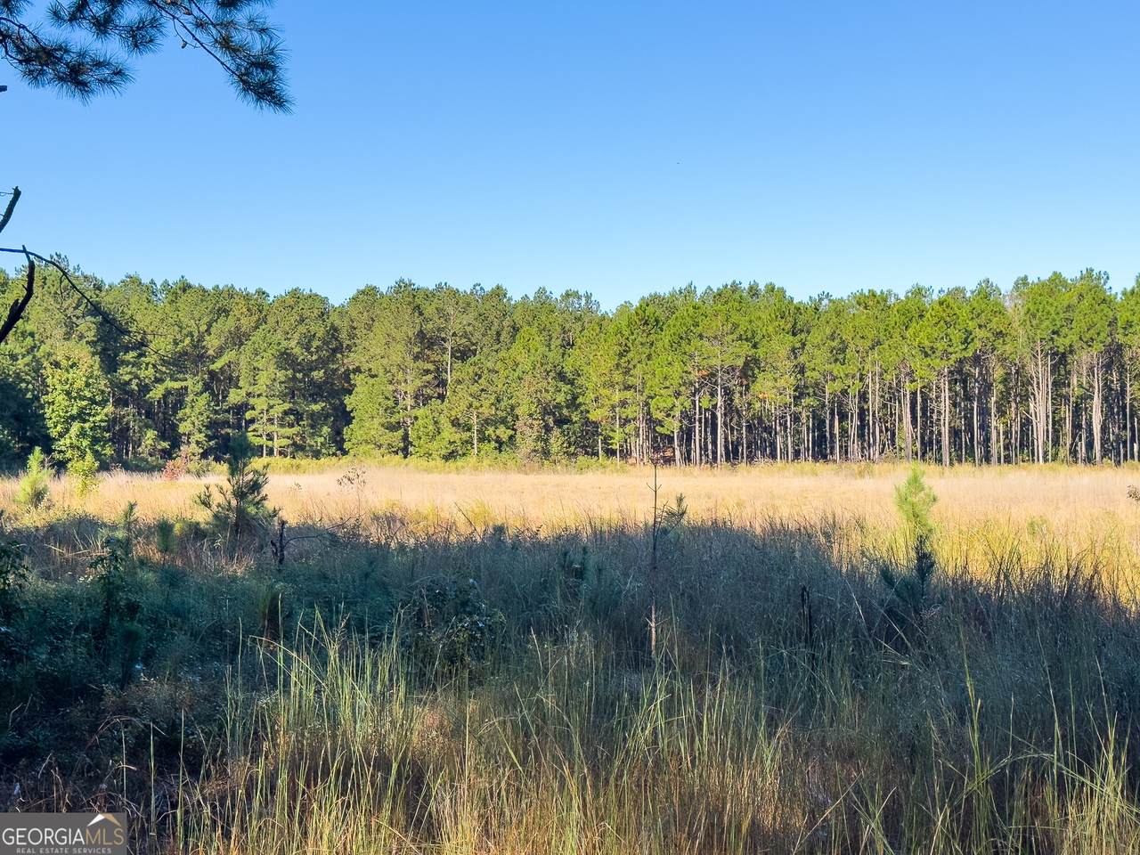 0 Penn Lane - Photo 1