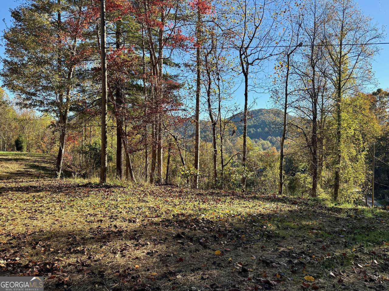 0 Zoellner Lane - Photo 1