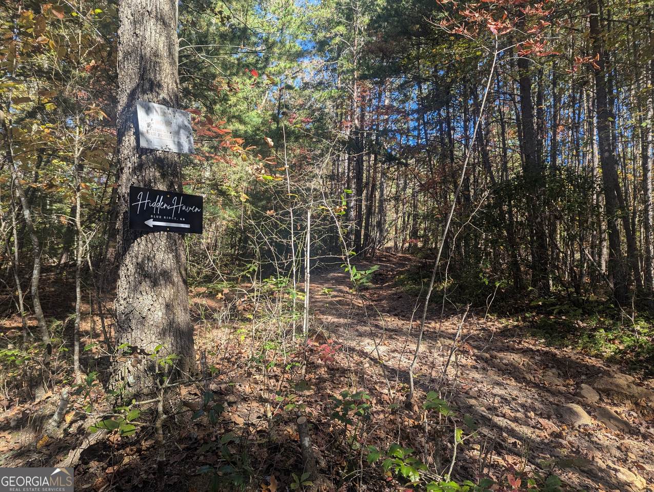 26.89 AC Shadow Lane - Photo 1