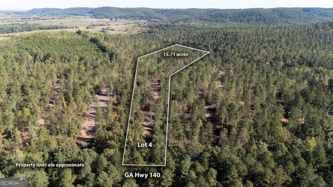3797 Hwy 140 - Photo 1
