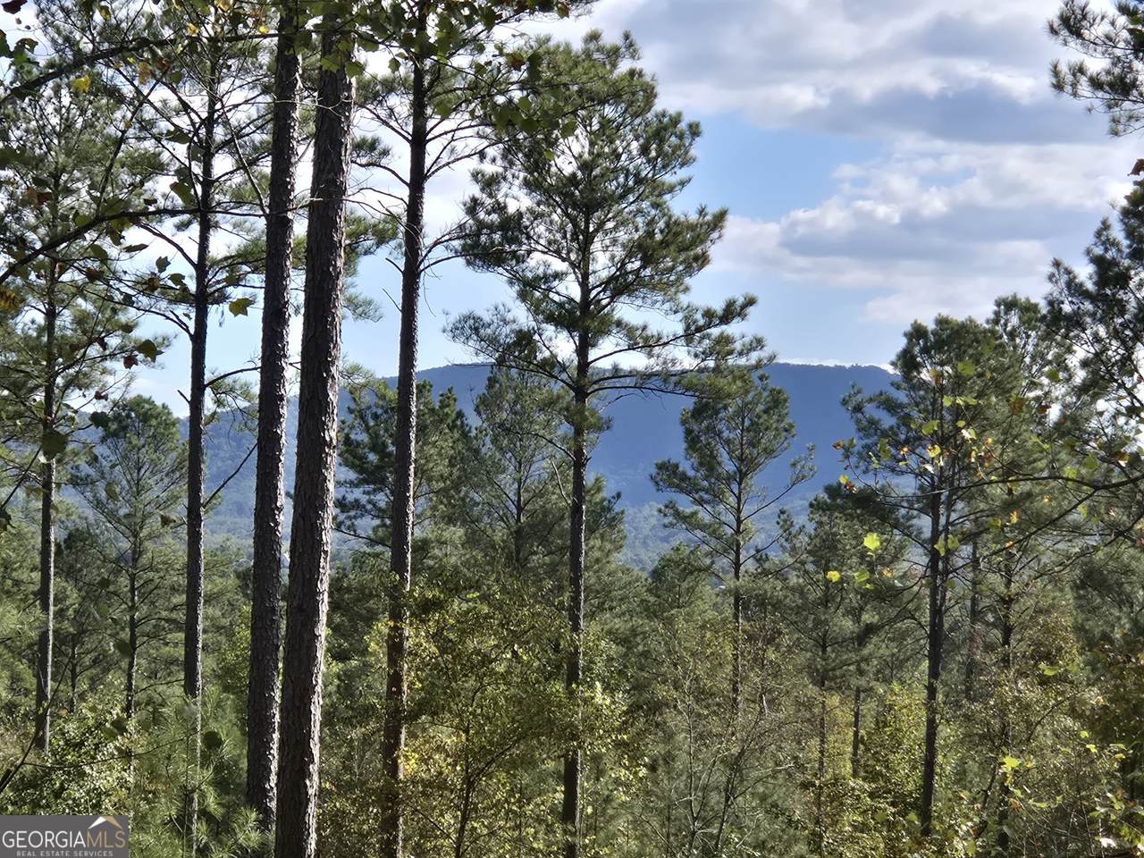 3871 Hwy 140 - Photo 1