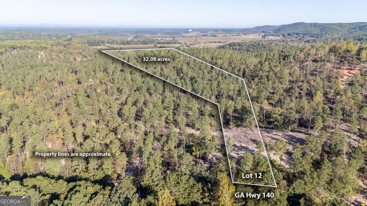 3875 Hwy 140 - Photo 1