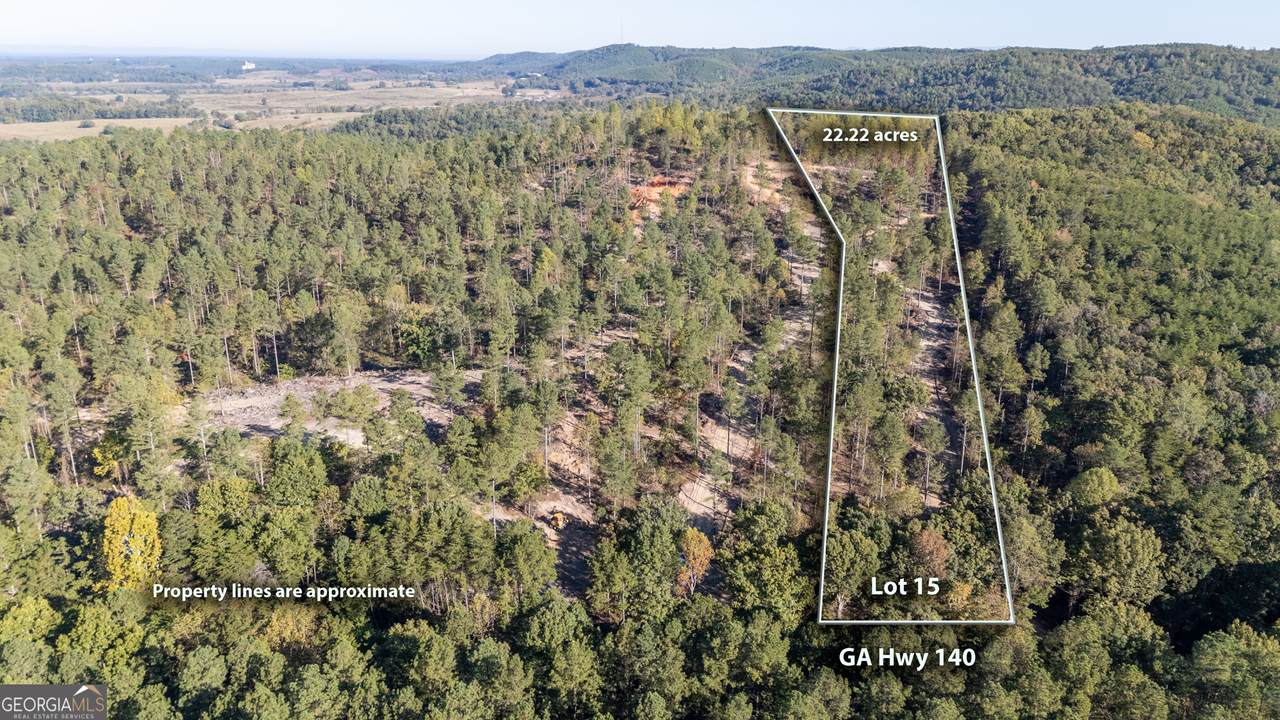 3887 Hwy 140 - Photo 1