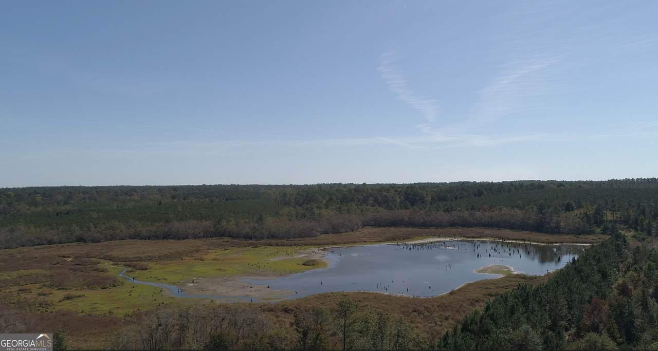 2202 Kennedy Bridge Road - Photo 1
