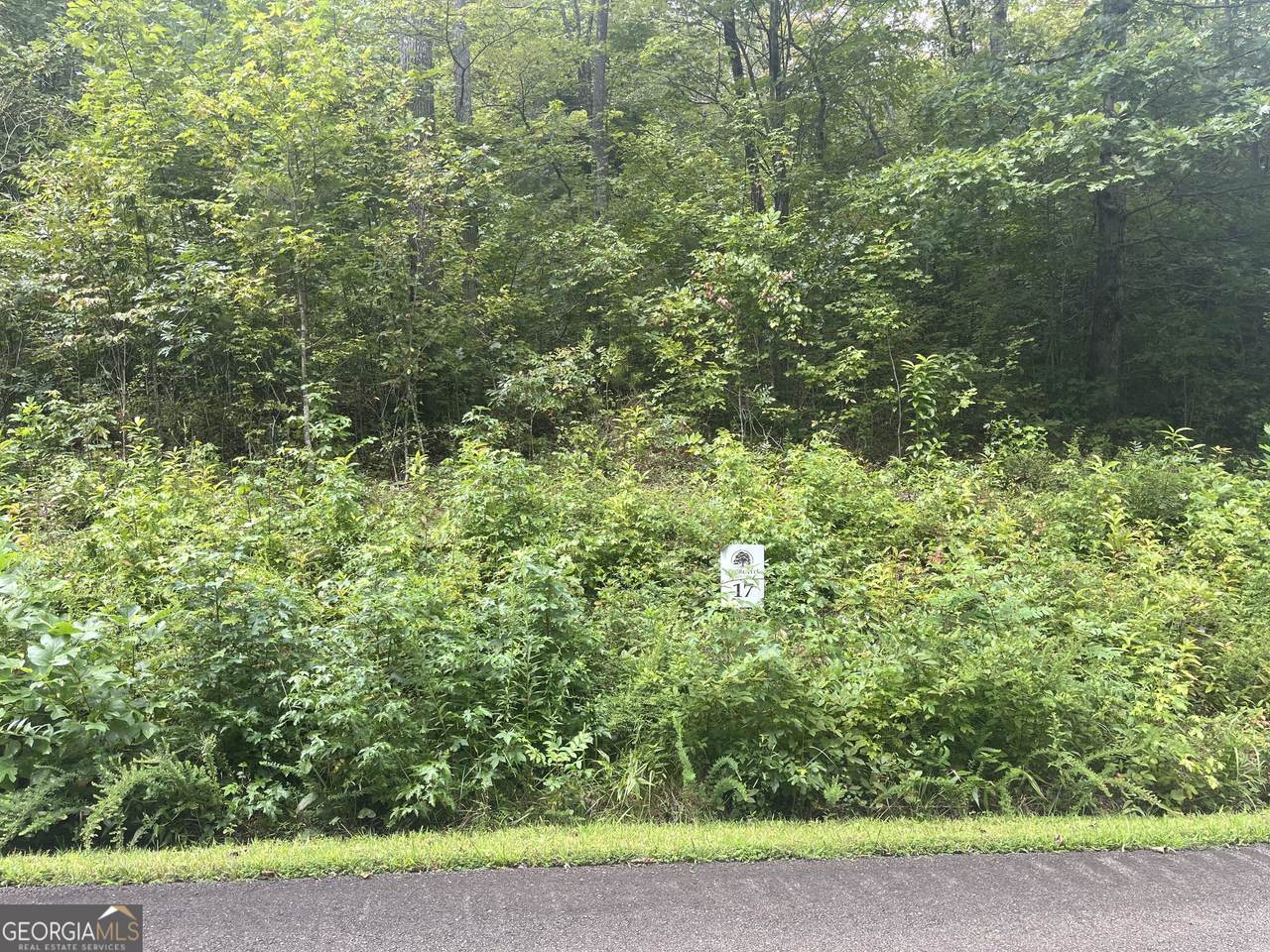 LOT 17 Staurolite Mountain Drive - Photo 1