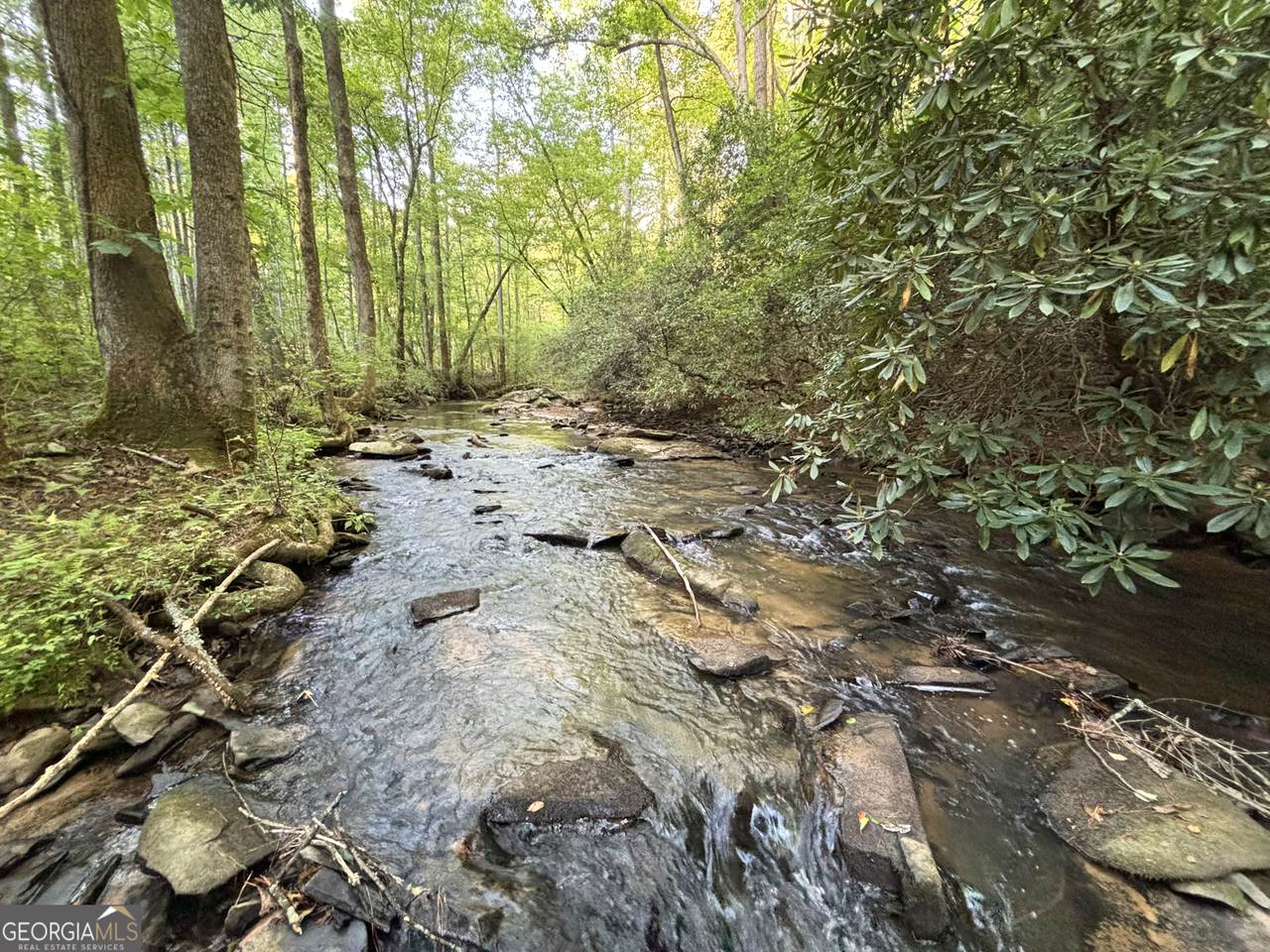 LOT 6 Mt Springer Road - Photo 1
