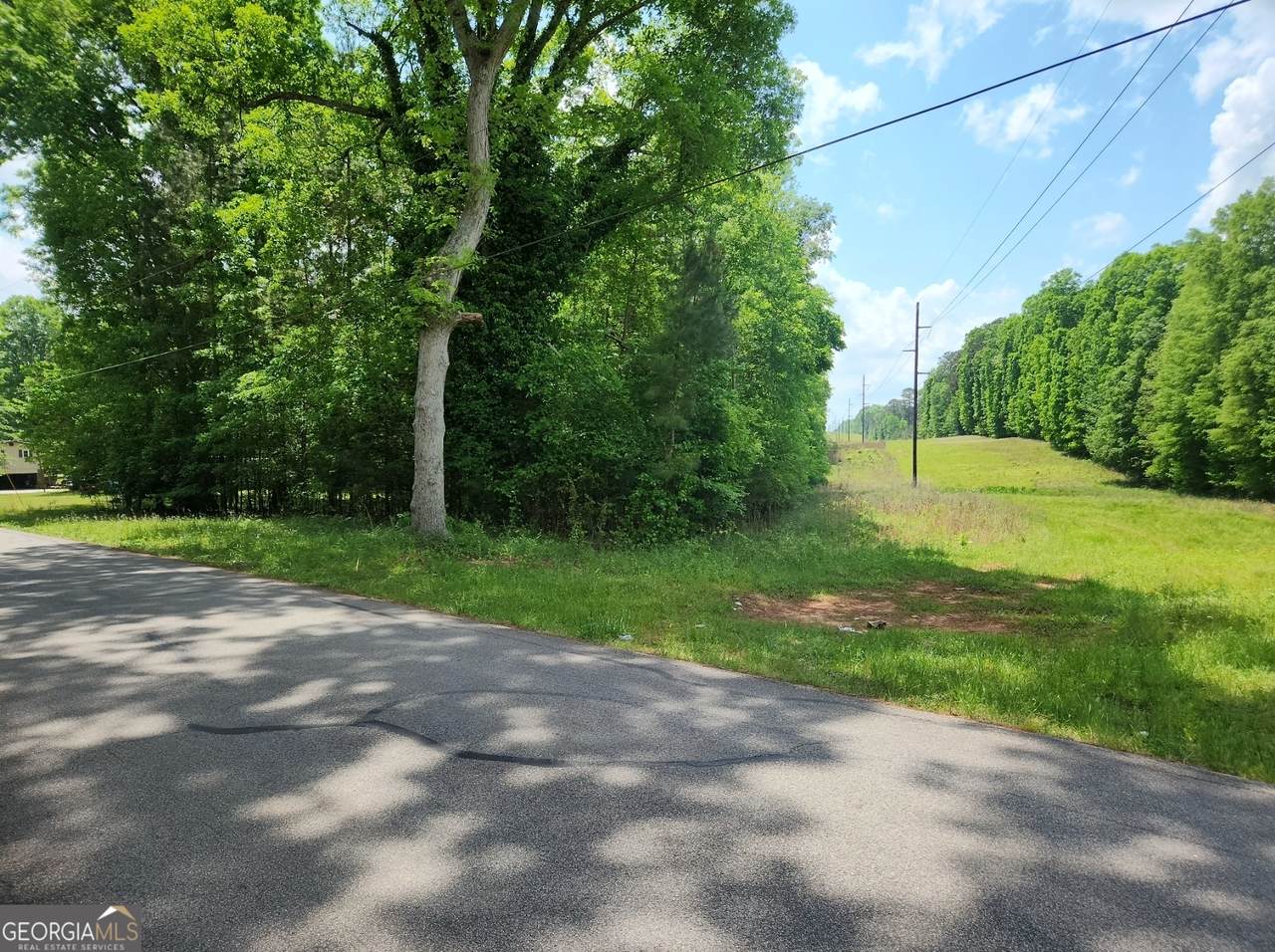 1241 Old Siloam Road - Photo 1