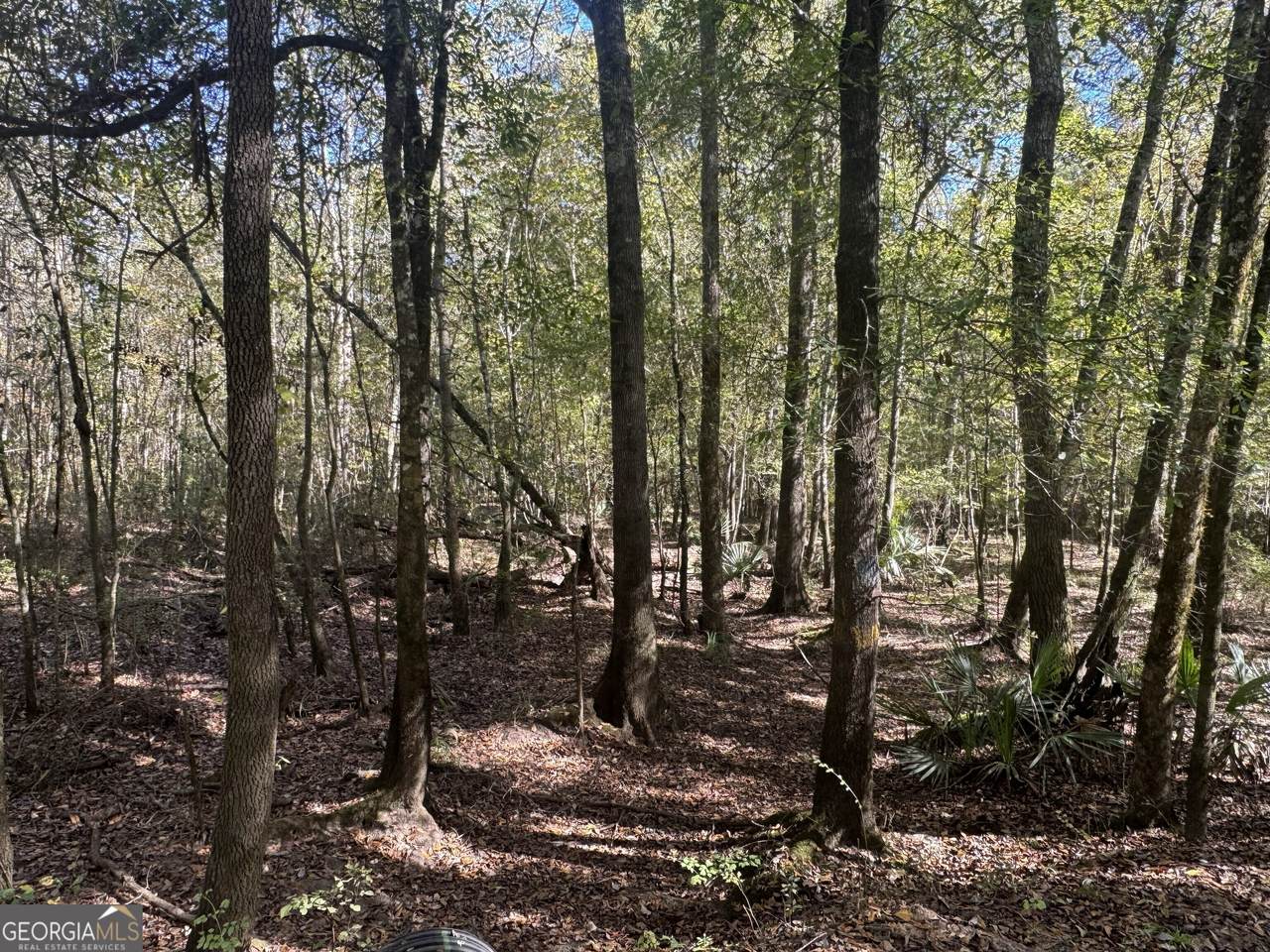 0 Sand Hammock Road - Photo 1