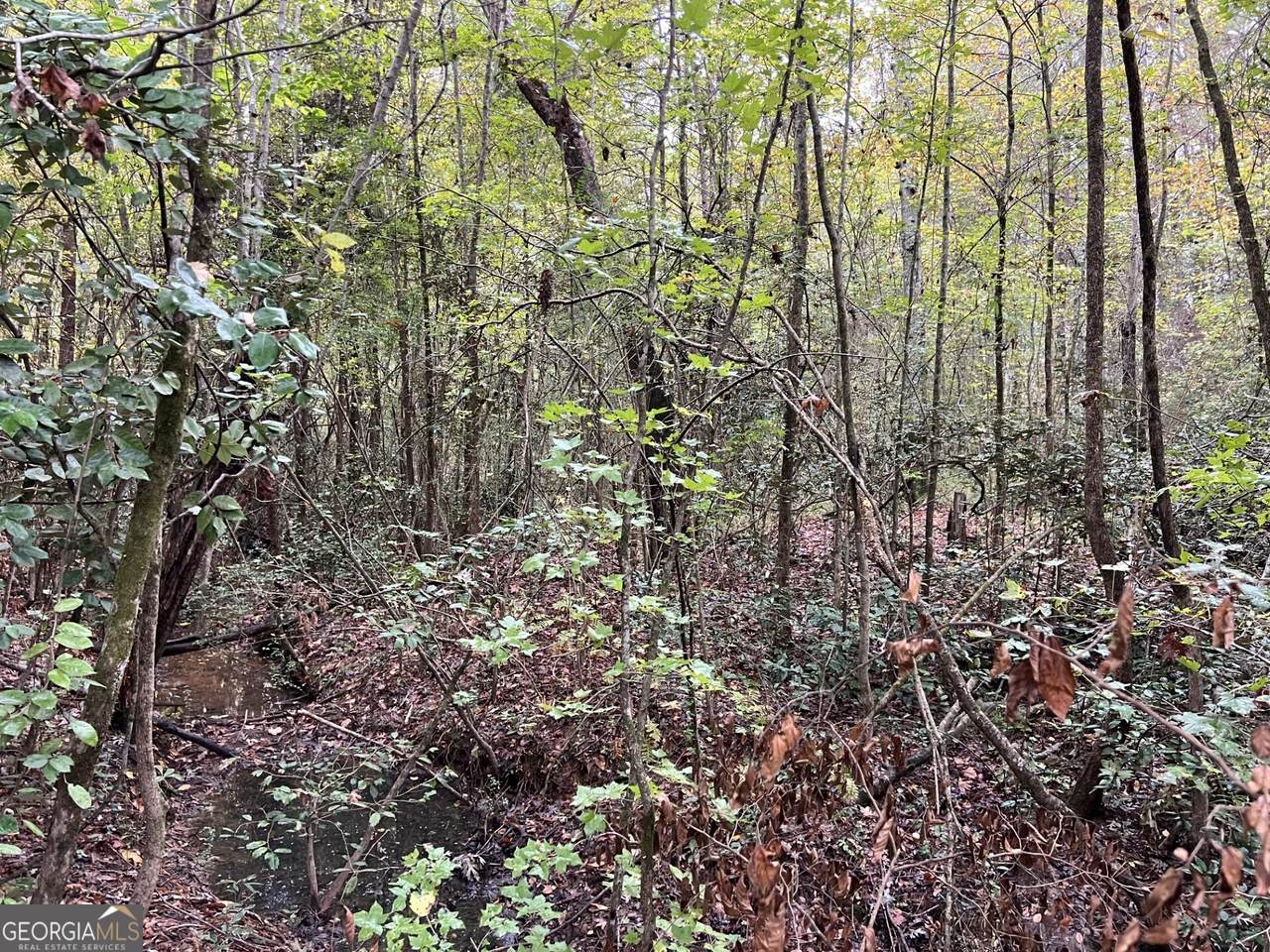 0 Clinton Crossing - Photo 1