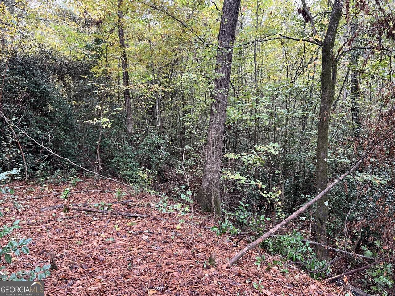 146 Lite N Tie Road - Photo 1