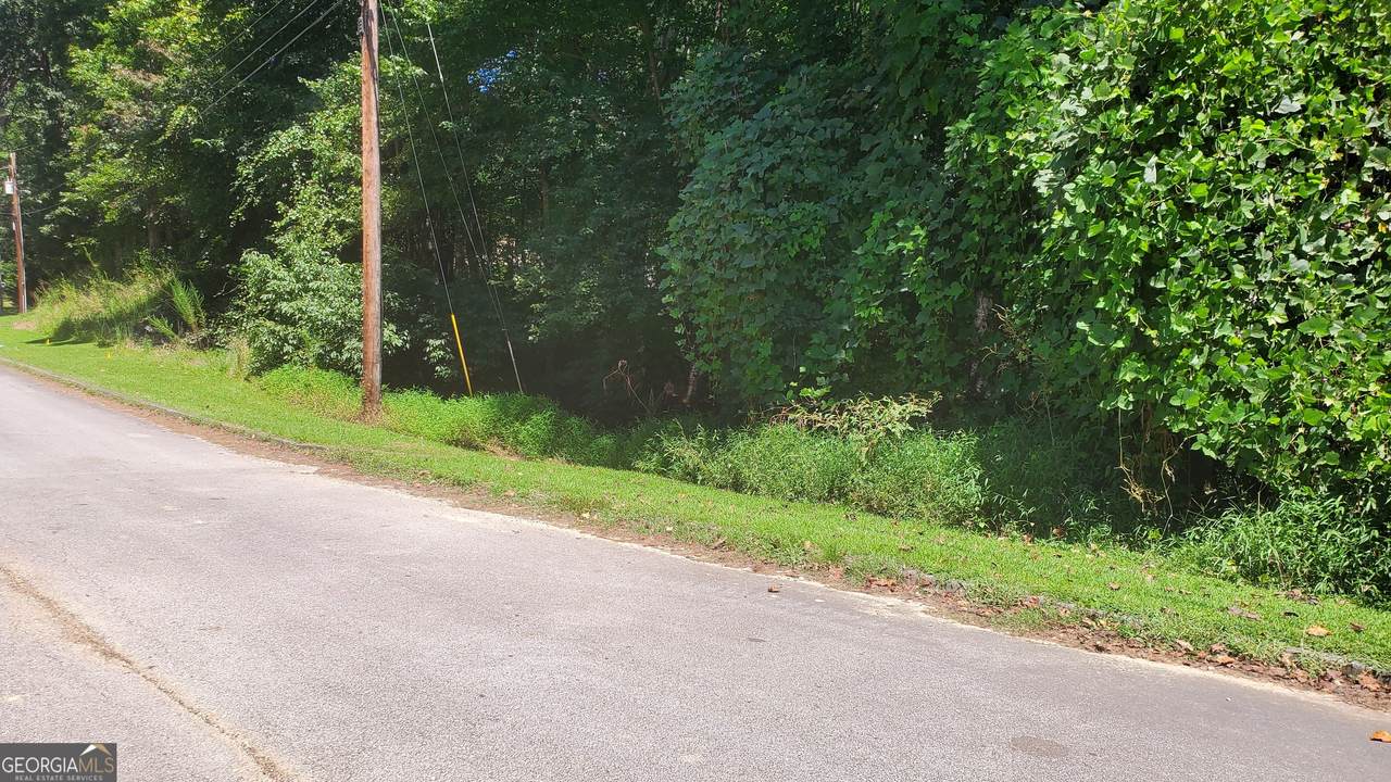 0 (4989 ?) Hidden Branch Drive - Photo 1
