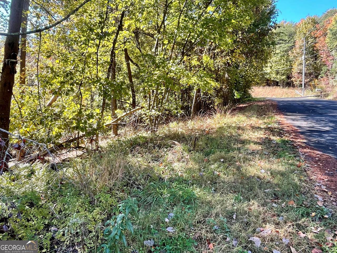 0 Lavender Trail - Photo 1