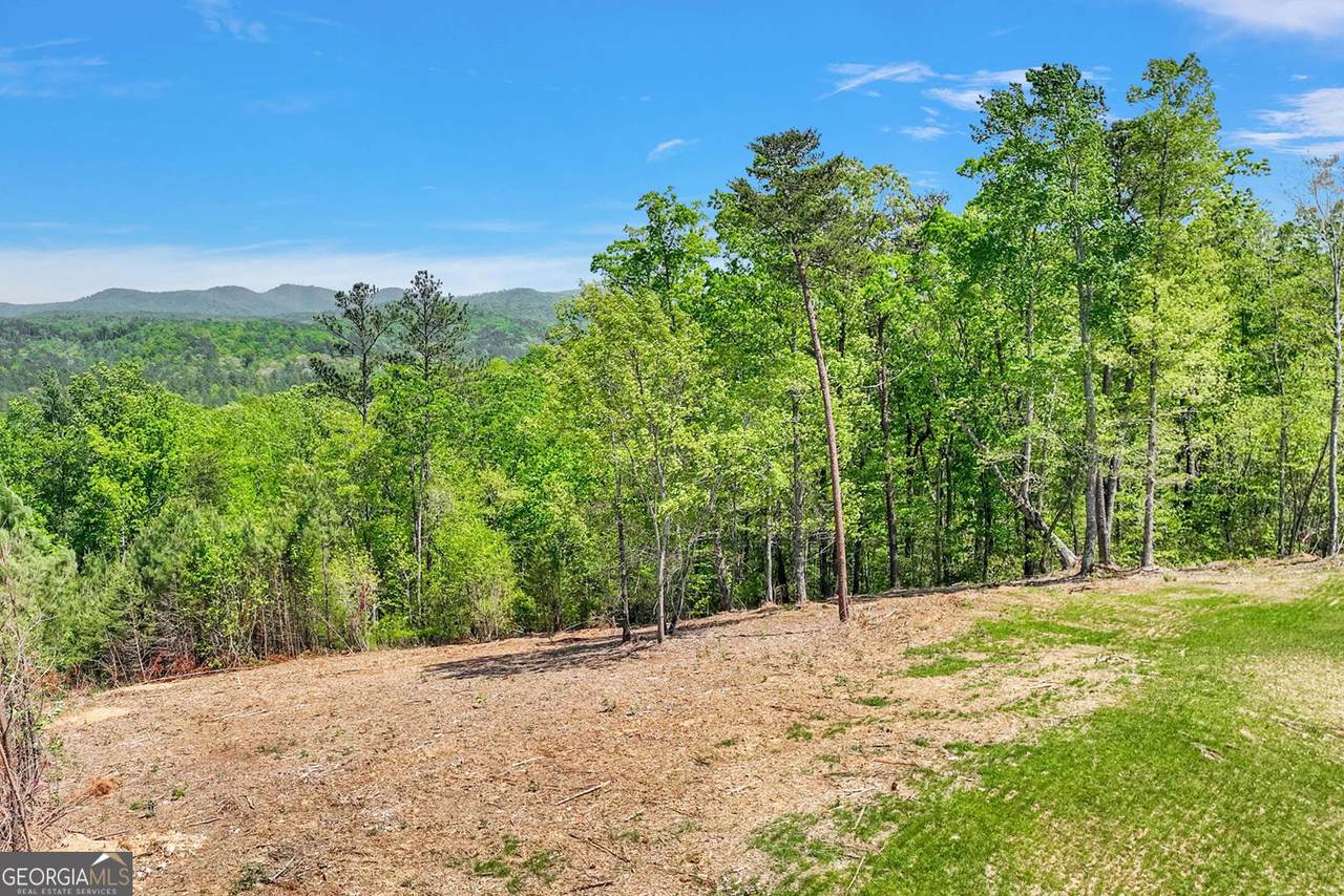 655 Lookout Valley Trail - Photo 1