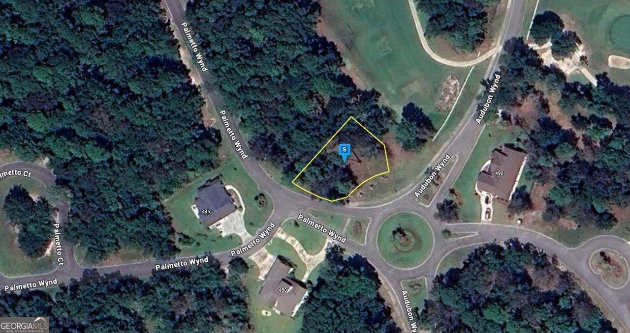 449 Palmetto Wynd - Photo 1