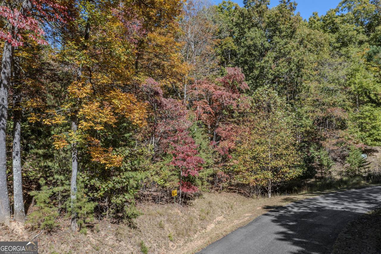 LOT 22 Meadow Brook Trail - Photo 1