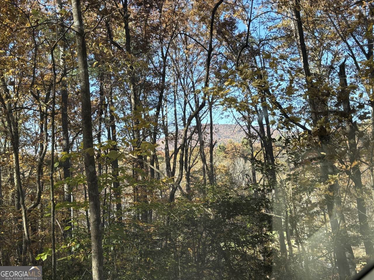 222 Piedmont Lane - Photo 1