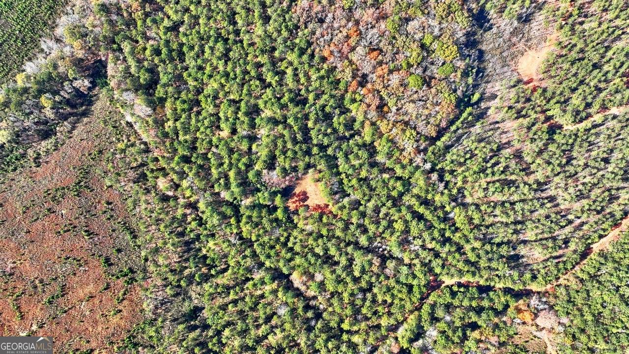 0 Cold Springs Road - Photo 1