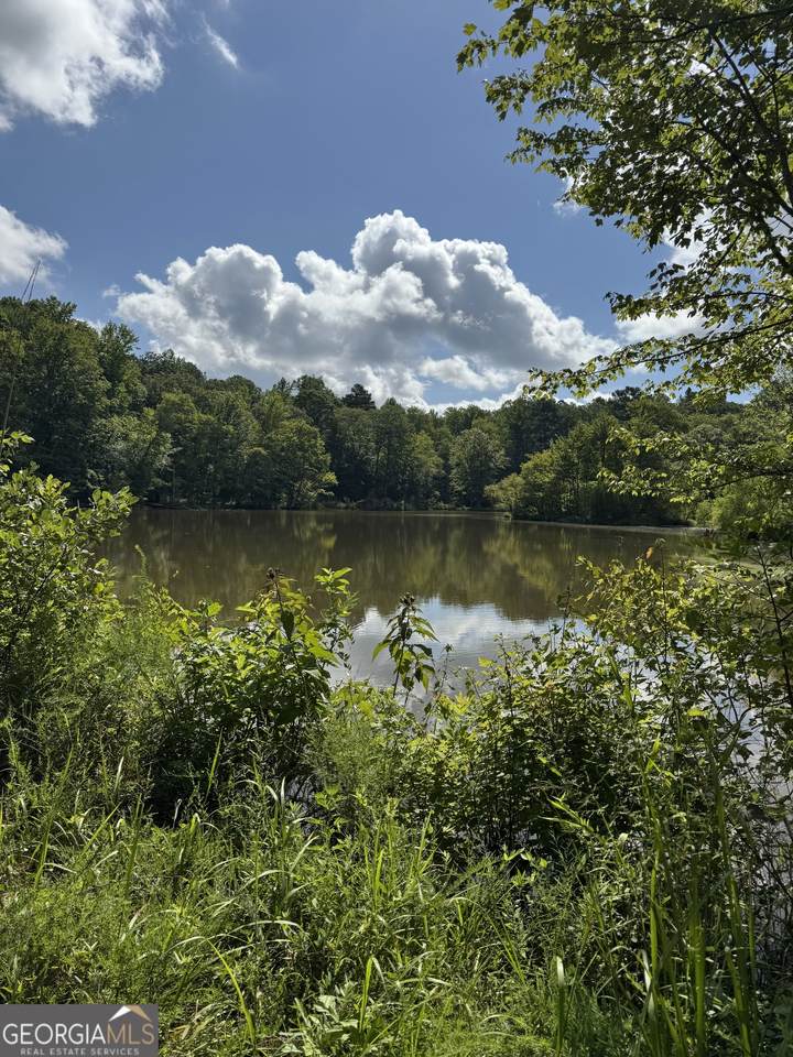 16653 Highway 36 - Photo 1