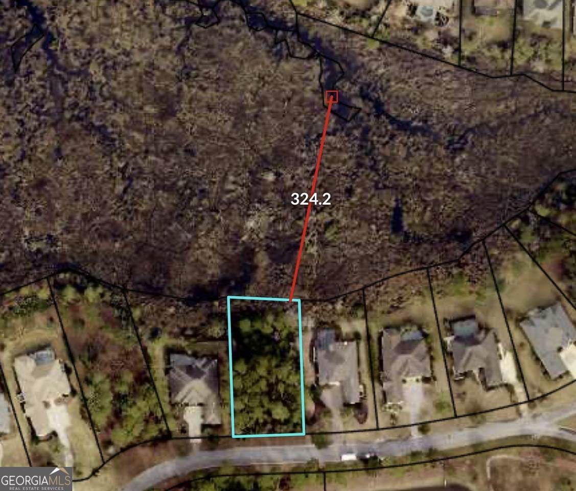 1730 Isles Of St Marys Way - Photo 1